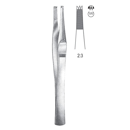 Lane Tissue Forceps, 2x3 Teeth, 20cm