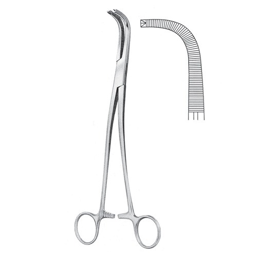 Gray Gall Duct Forceps, 23cm