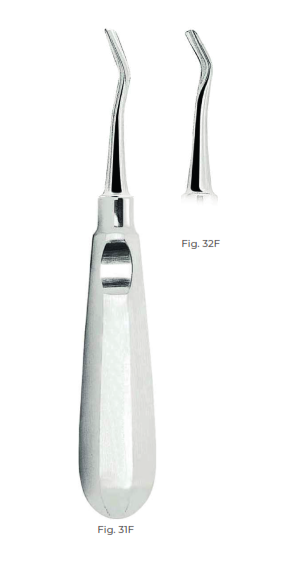 Friedman Root Elevators with stainless steel handle Fig. 31F