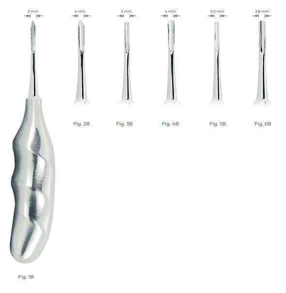 Bein root elevator with anatomically shaped handle 4MM  Fig. 2B