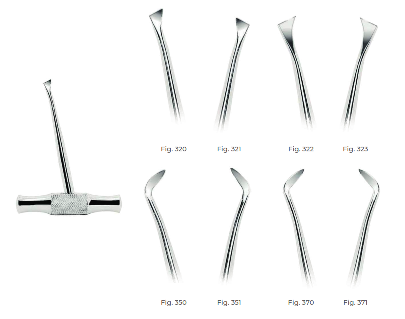 Walter F. Barry Root Elevators with stainless steel handle Fig. 351