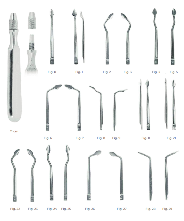 Syndesmotomes Fig. 25