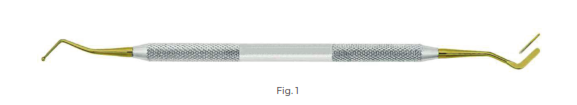 Plastic Filling Instrument with Ti-N lined tips, Fig 1