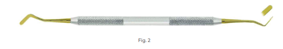 Plastic Filling Instrument with Ti-N lined tips, Fig 2