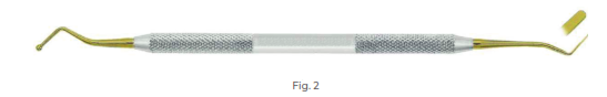 Plastic Filling Instrument with Ti-N lined tips, Fig 2