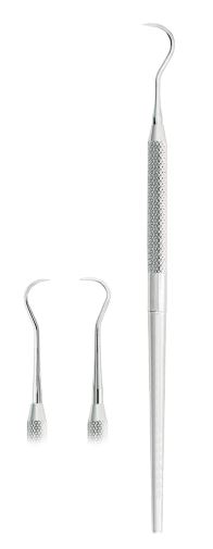 Hygienist Scaler, Fig H6