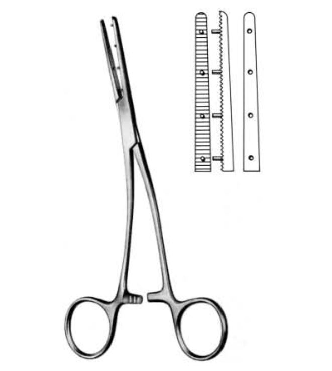 Mastin Muscular Clamp, 17.0cm