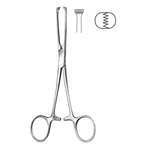 Allis Tissue And Intestinal Forceps, 5x6 Teeth, 15cm