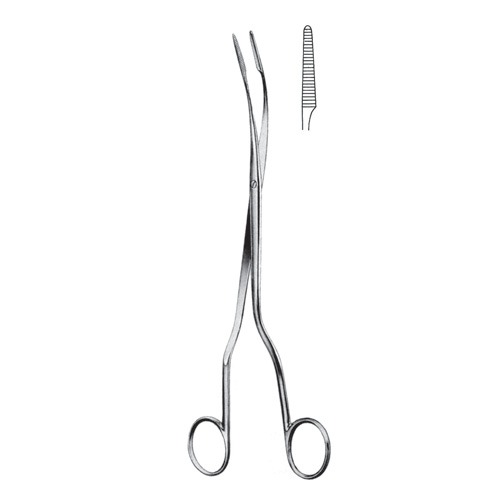 Czerny Gall Stone Forceps, 24.5cm