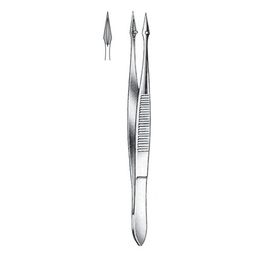 [RF-320-10] Hunter Splinter Forceps, Str, 10.5cm