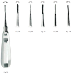 [RDJ-121-52] Bein Root Elevators with stainless steel handle 4 mm Fig. 2B