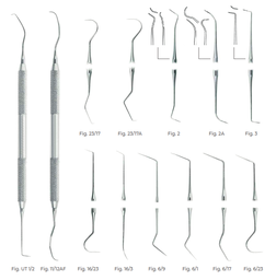 [RDJ-161-02] Double-Ended Explorers Fig. 2A