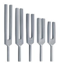 [DC-55-05-110] Tunning Fork C⁴ 2048