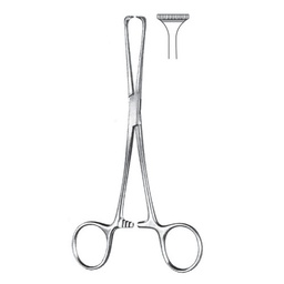 [RAA-110-15] Allis- Adair Tissue And Intestinal Forceps, 5x6 Teeth, 15.5cm